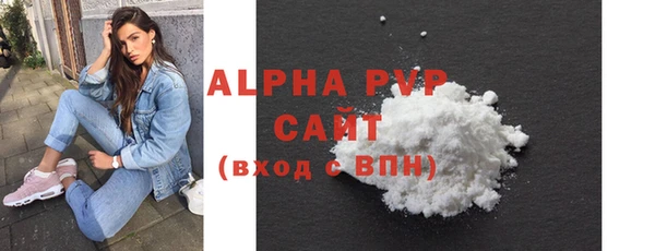 индика Алексин