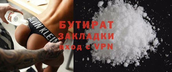 индика Алексин