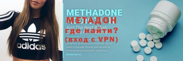 индика Алексин