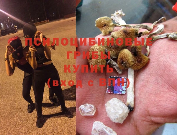 амф Алексеевка