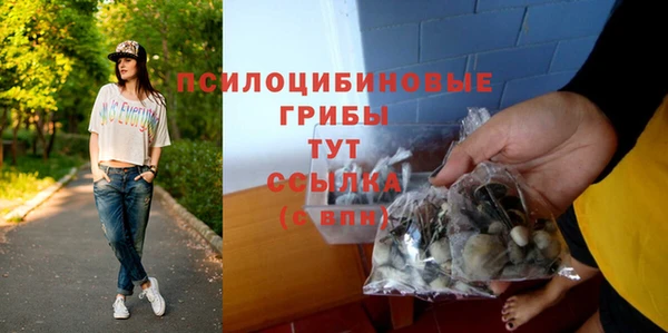герыч Алзамай