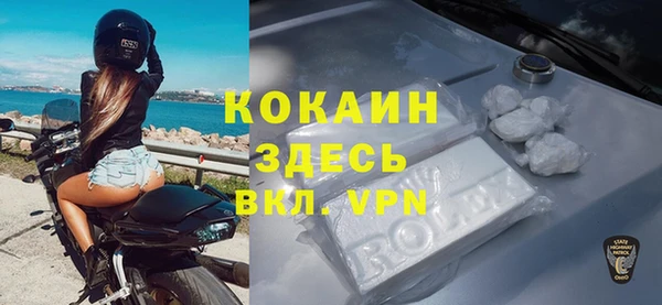 индика Алексин